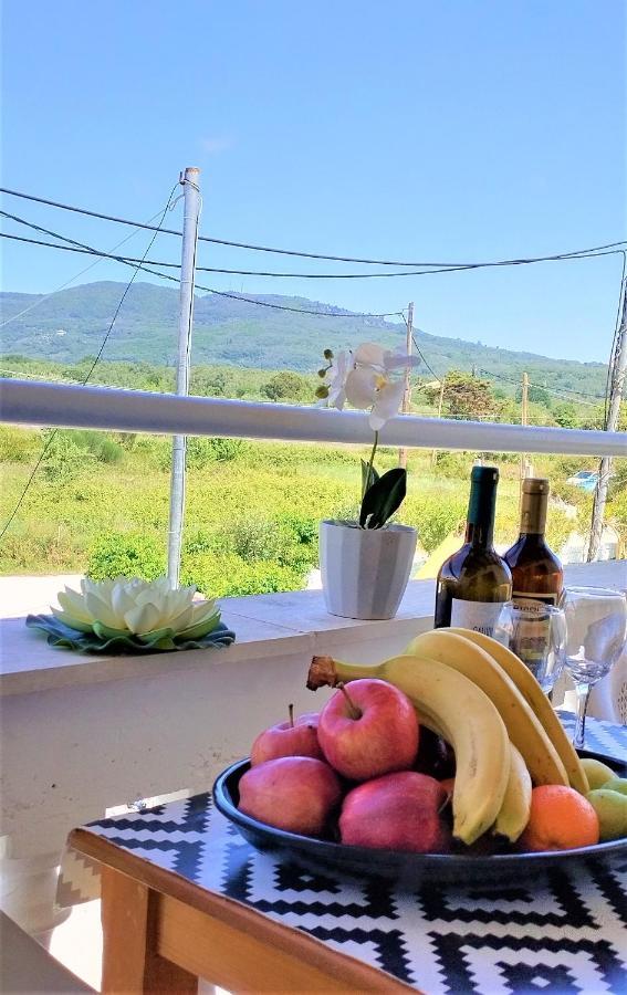 Eleni Apartments Sant George Beach Agios Georgios  Zewnętrze zdjęcie
