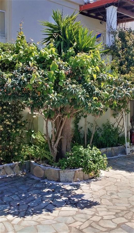 Eleni Apartments Sant George Beach Agios Georgios  Zewnętrze zdjęcie