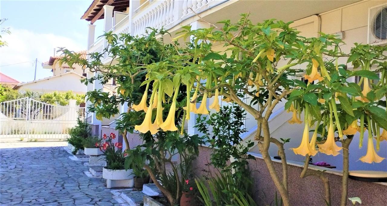 Eleni Apartments Sant George Beach Agios Georgios  Zewnętrze zdjęcie